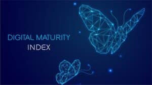 Digital Maturity Index Training